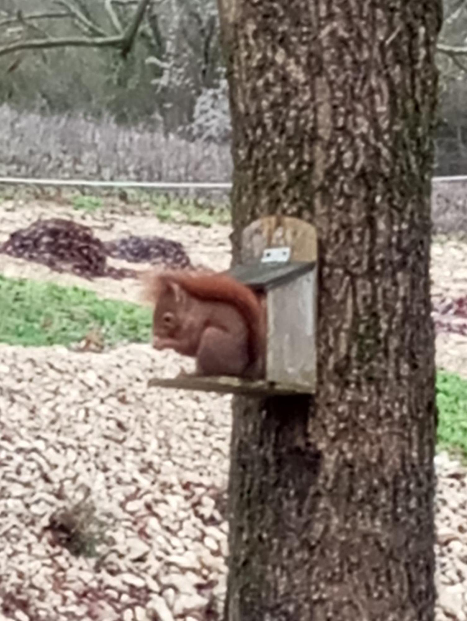 Du - Le En Pleine Nature