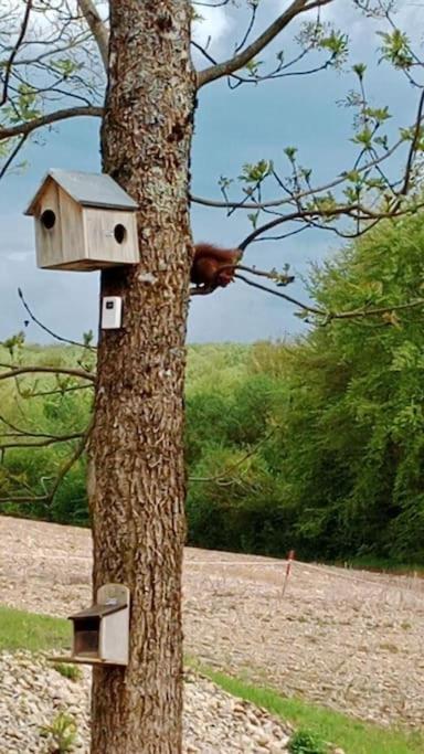 Du - Le En Pleine Nature Country house Seuzey